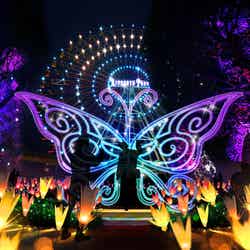 光の遊園地/画像提供:京阪電気鉄道