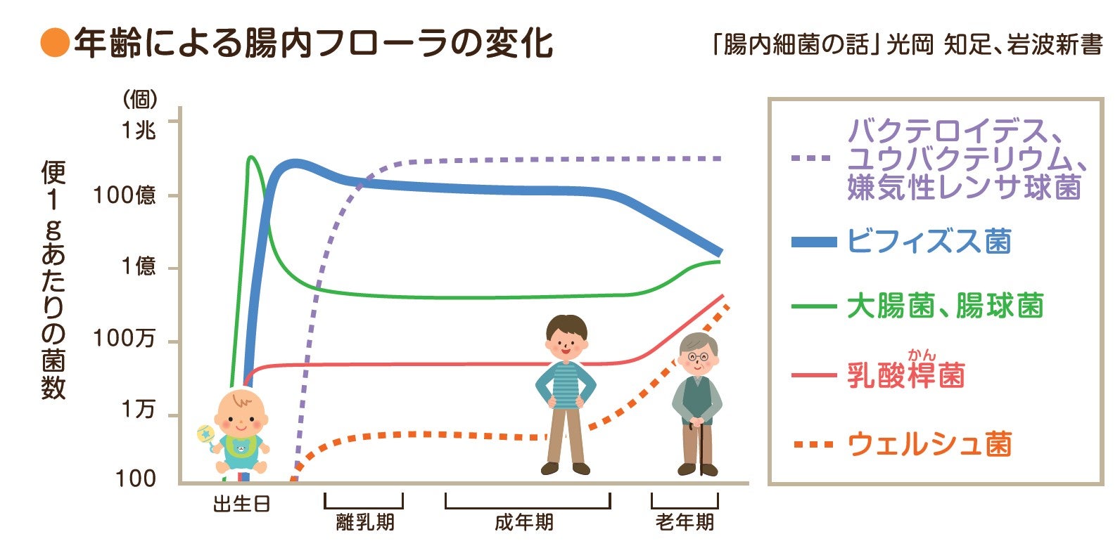 年齢による腸内フローラの変化