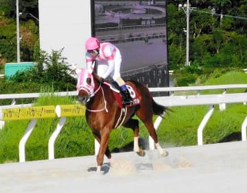 【地方競馬】兵庫の年度代表馬はオケマル
