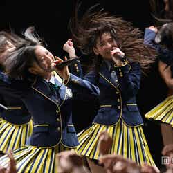 激しく首を振るHKT48(C)AKS