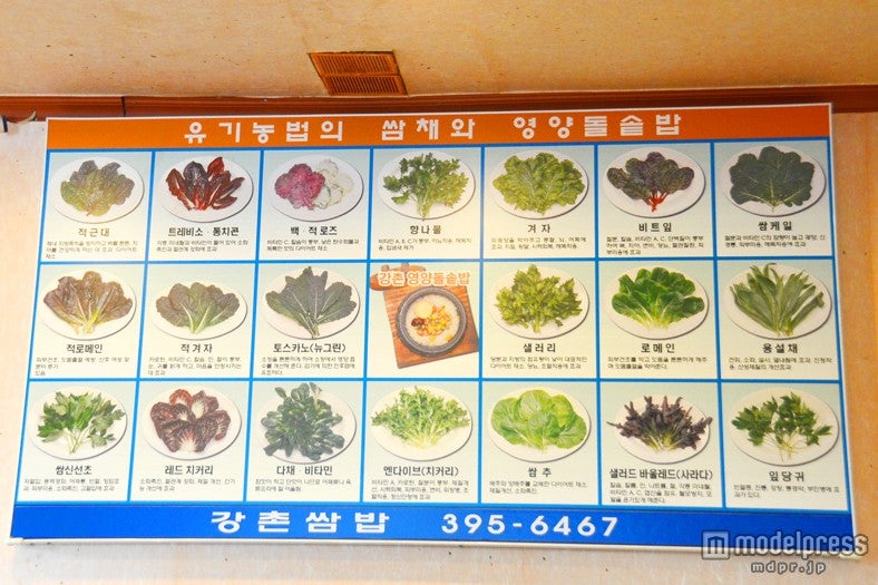 これだけの野菜を一度に摂れる