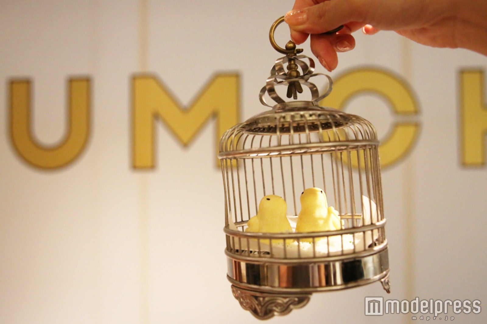 Yum Cha（C）モデルプレス