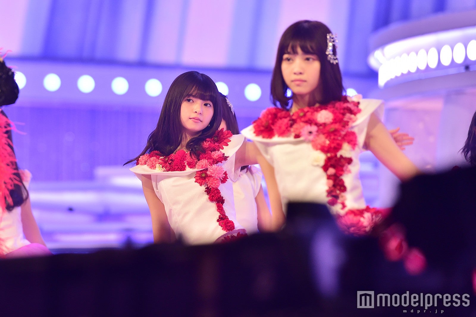 乃木坂46橋本奈々未 けん玉挑戦の結果は 紅白本番 モデルプレス 乃木坂46橋本奈々未 けん玉挑戦の結果は 紅白本番 モデルプレス