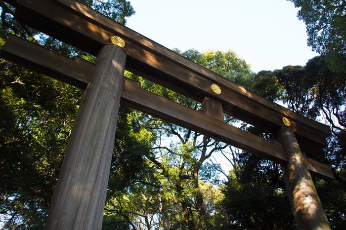 1年を無事に過ごせますように/photo by 写真素材ぱくたそ