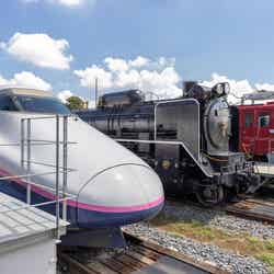 ザ・ヒロサワ・シティ/提供画像