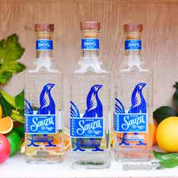 上質なブルーアガベの100%生搾りジュースを使用した「サウザブルー」(C)モデルプレス