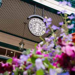 スターバックス コーヒー 神戸北野異人館店（C）モデルプレス