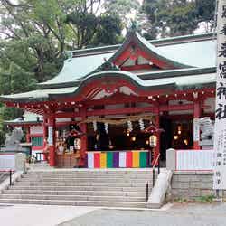 神職や巫女さんが落ち葉を掃き集め、ハート型の猪目にしているそう(提供画像)