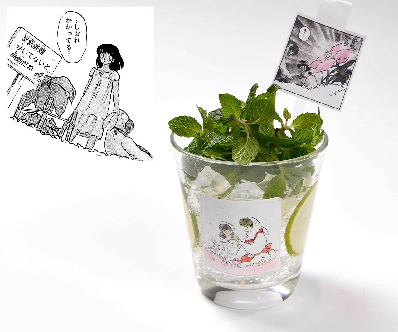 （C）高橋留美子／小学館