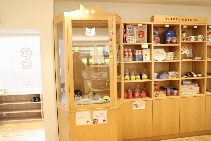 ショーケースの中には猫館員ミューの姿も