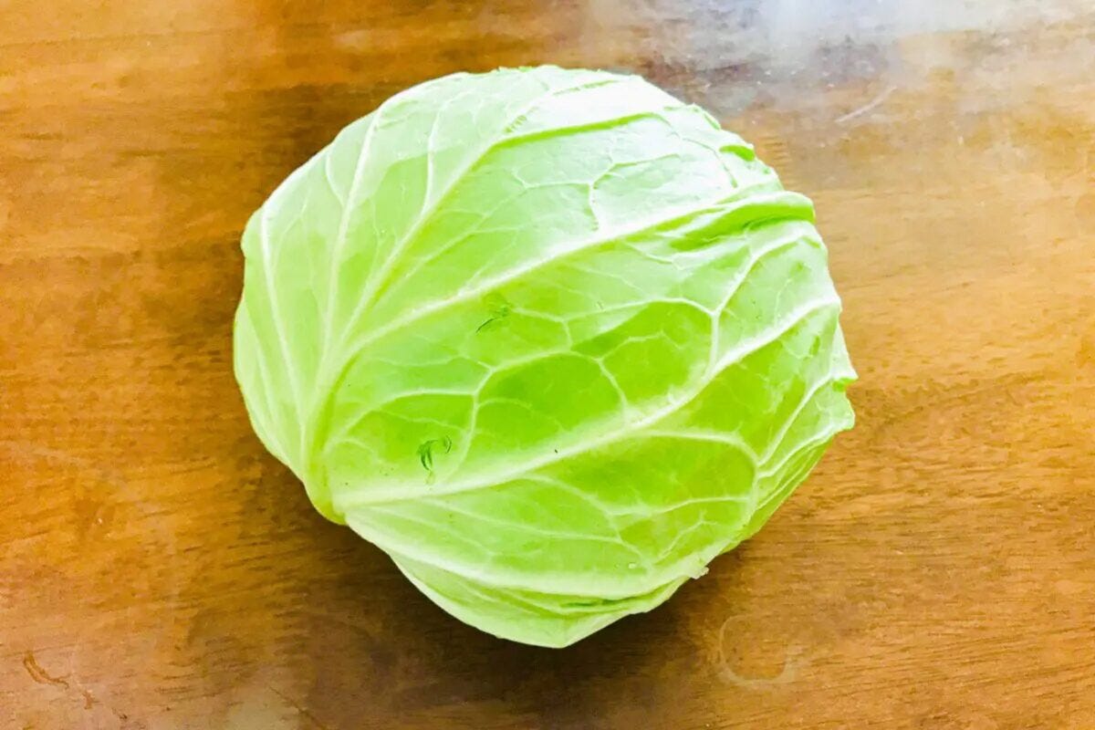 キャベツ