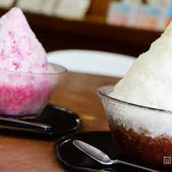 ふわふわ雪のような「千日」のかき氷(C)モデルプレス