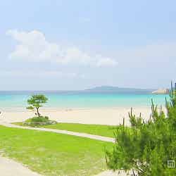 高浜海水浴場の海は「モルディブ級」という声も