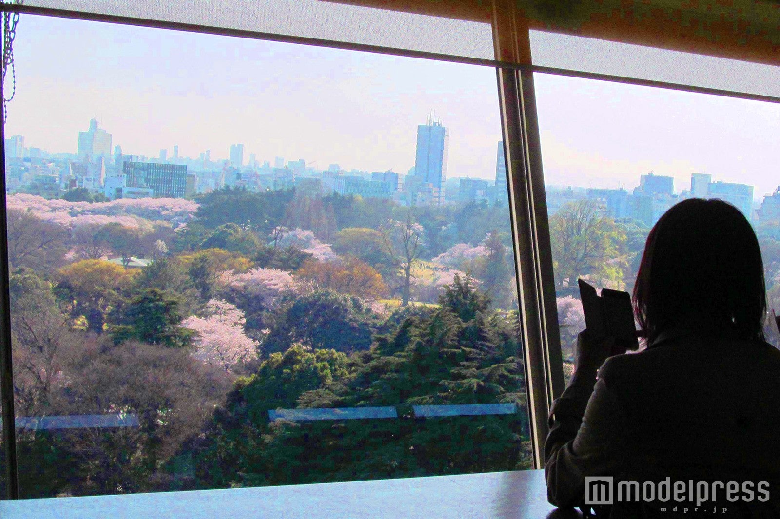 新宿御苑を上から見渡せる好立地、モスバーガー「パブリック四谷区民センター店」／画像提供：モスフードサービス