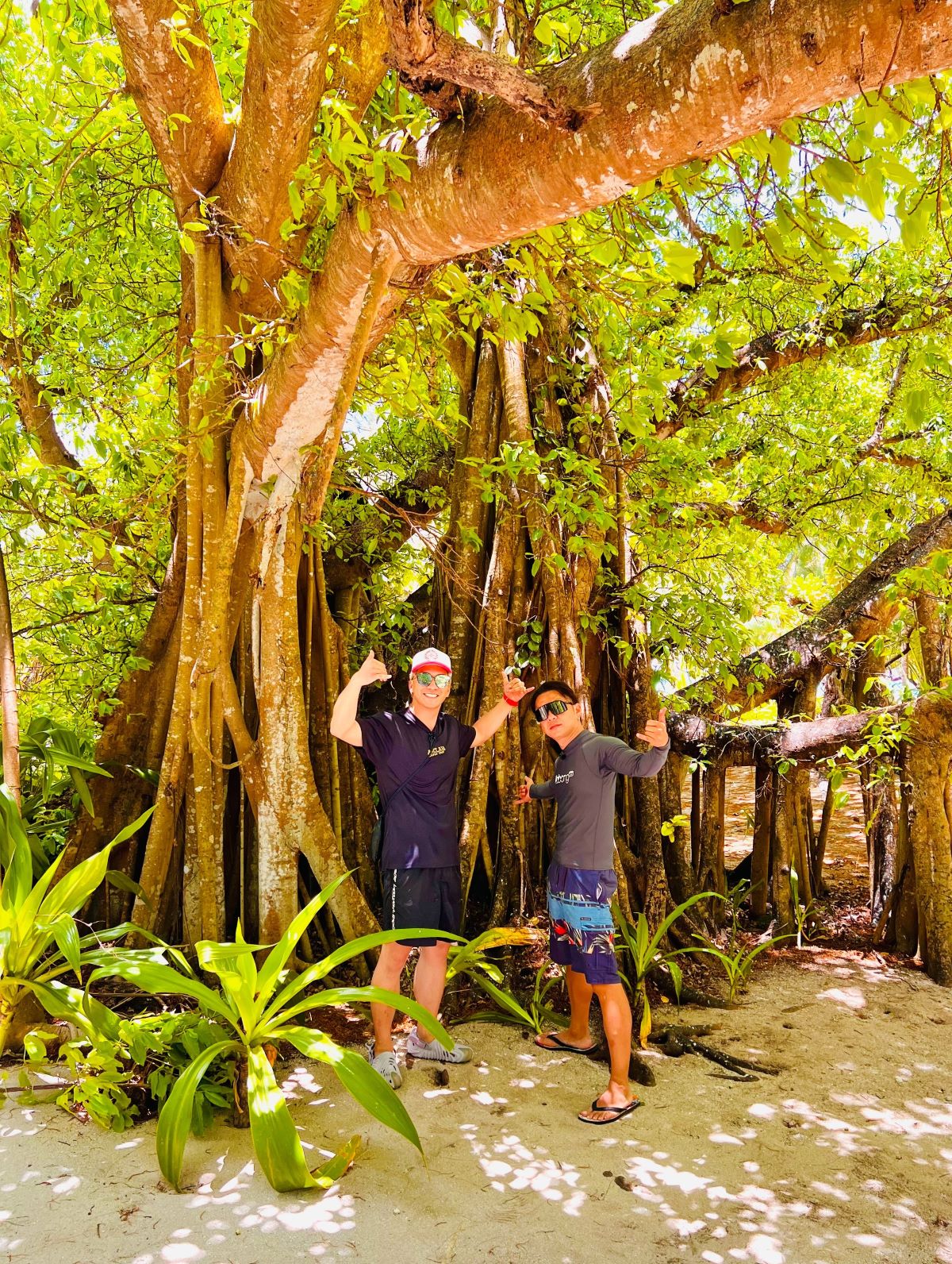 マニャガハ島の中心にあるパワースポット（提供写真）