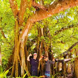 マニャガハ島の中心にあるパワースポット(提供写真)