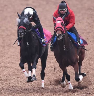 【中山大障害】エコロデュエル 余力たっぷりに併入 春秋Vへ気合十分 岩戸師「言い訳できないね」