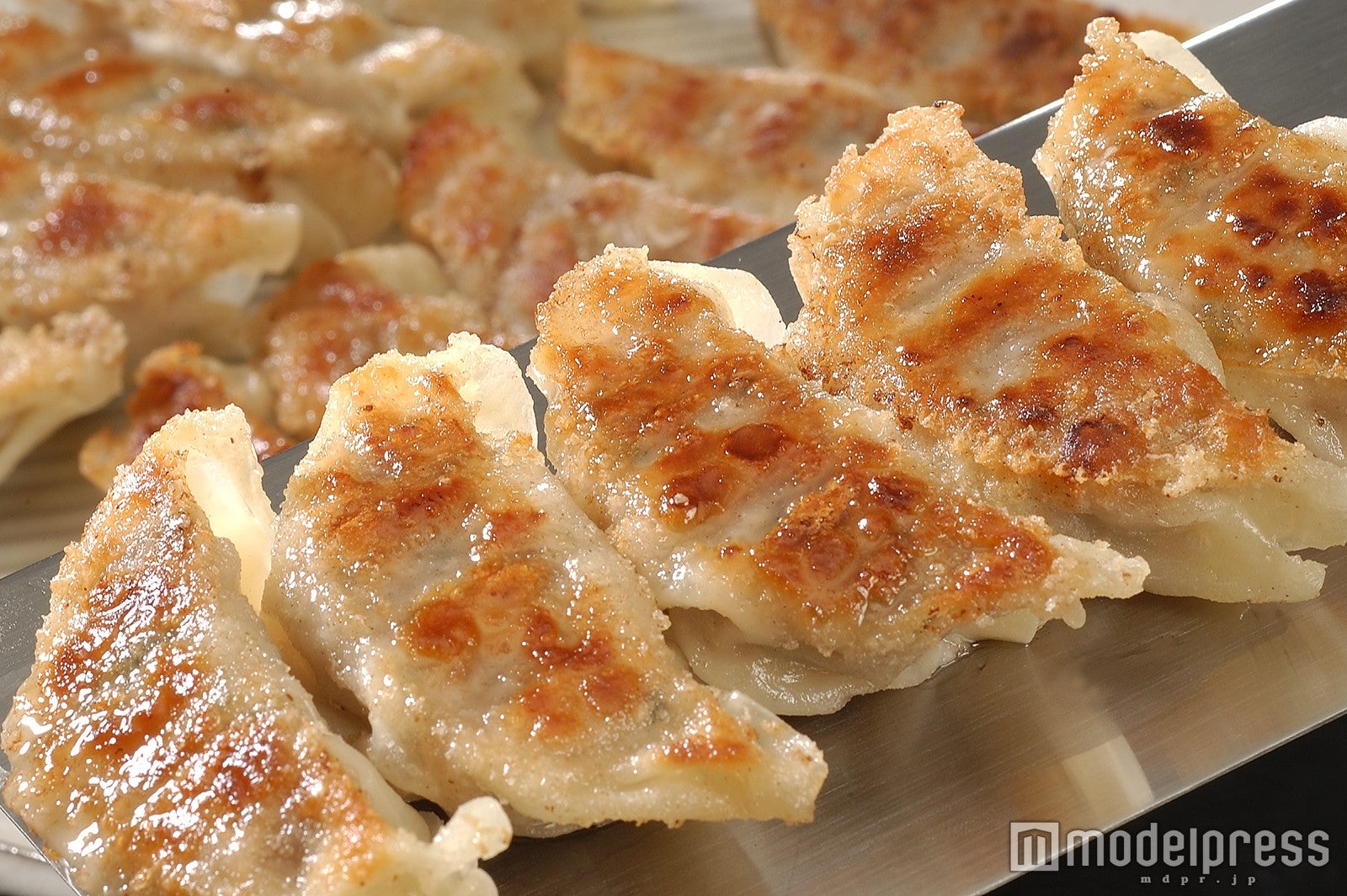 ／画像提供：餃子フェス実行委員会