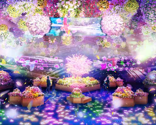 よみうりランドにエンタメ植物園「はなびより(HANA・BIYORI)」開園へ