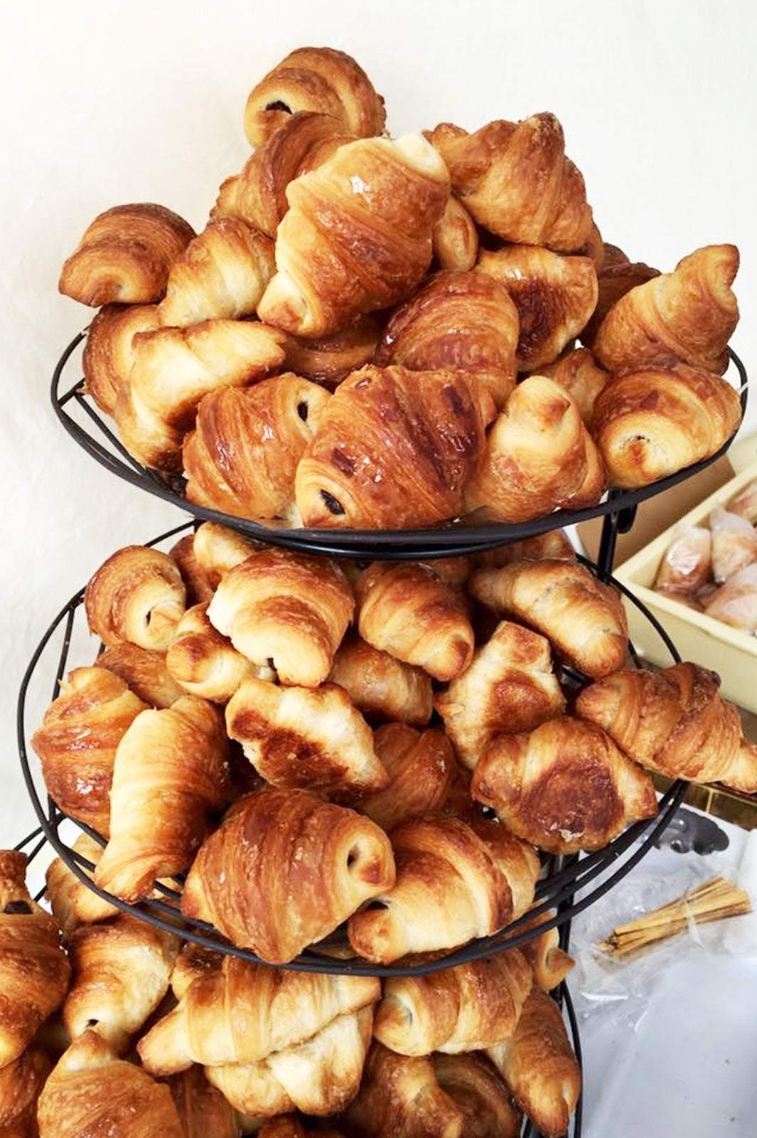 有名パン屋も多数出展予定／提供素材