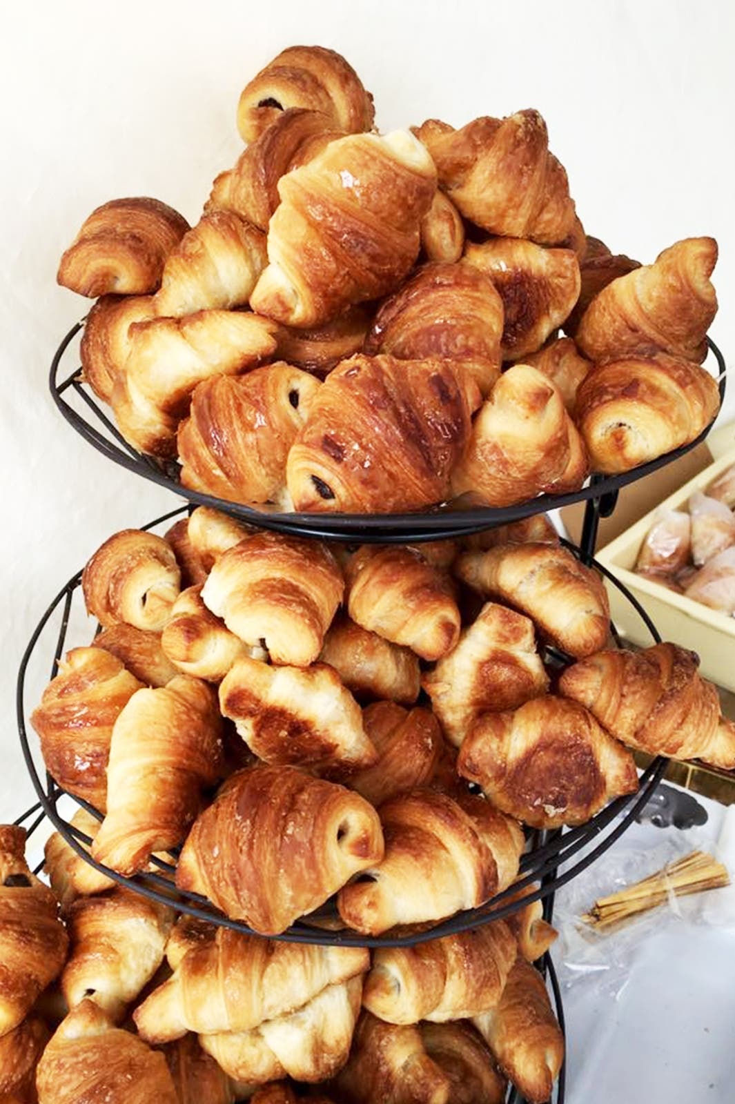 有名パン屋も多数出展予定