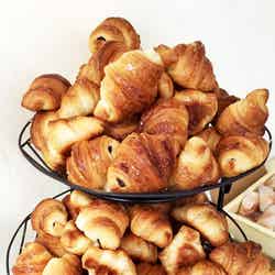 有名パン屋も多数出展予定/提供素材