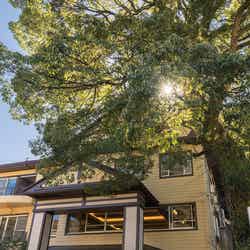 HOTEL nehako ネハコ(提供画像)