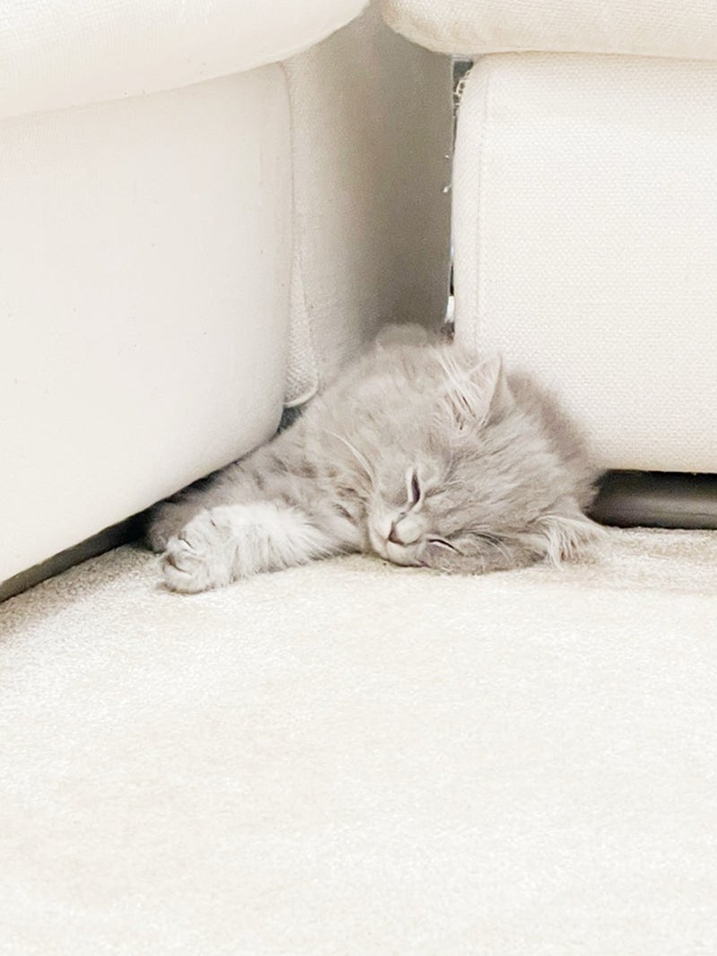 高橋克典オフィシャルブログより