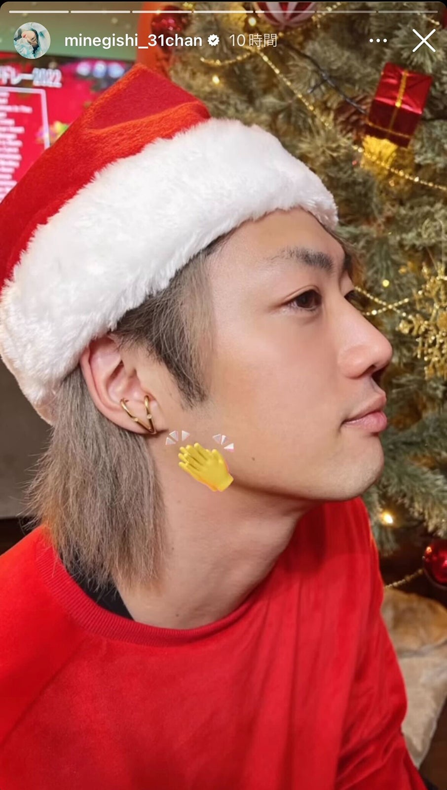 てつや／峯岸みなみInstagramストーリーズより