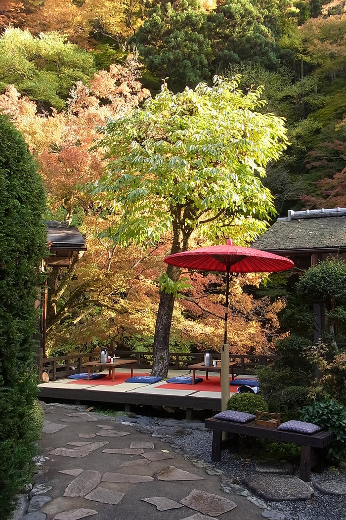 とがの茶屋／画像提供：とがの茶屋