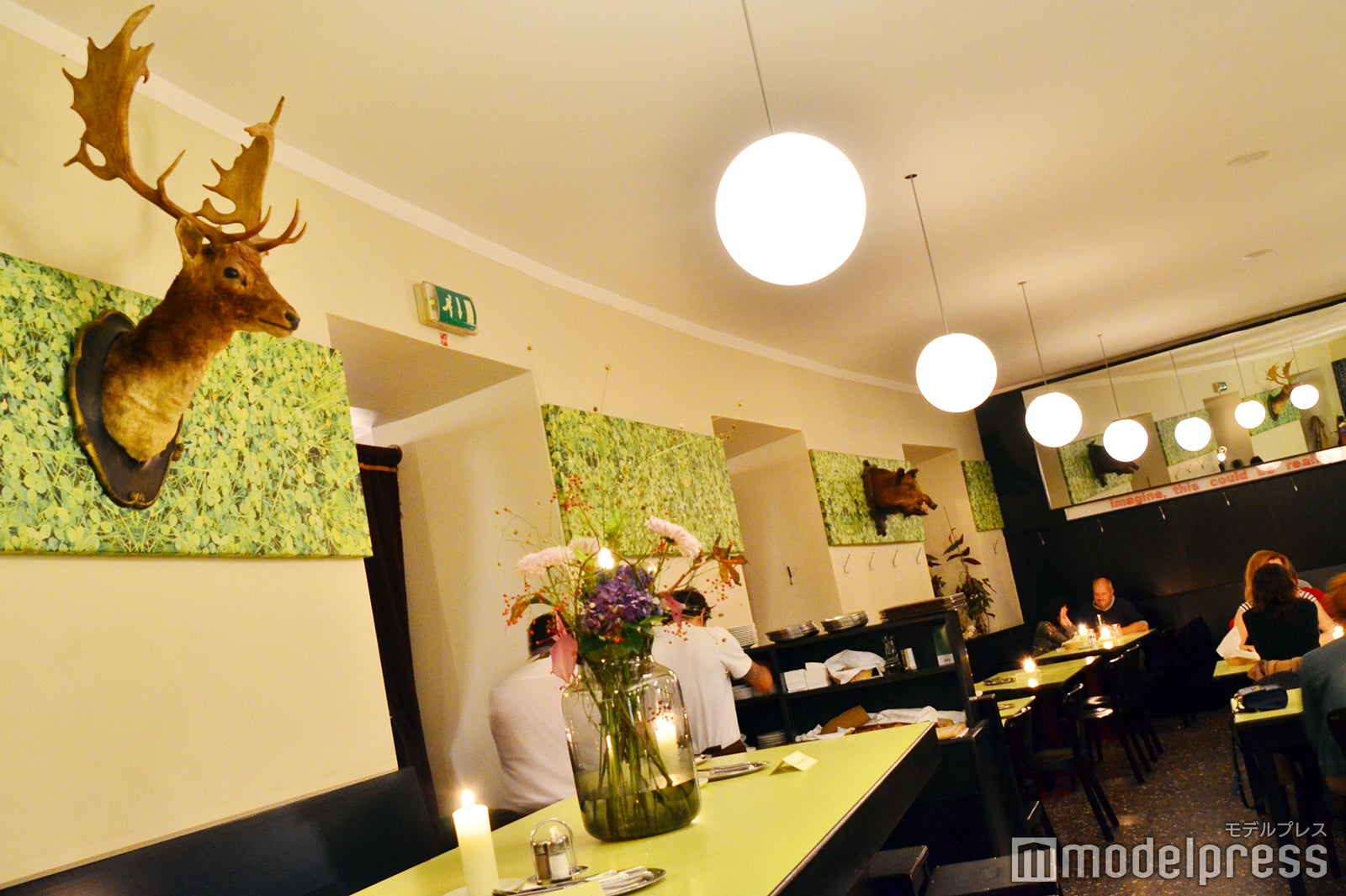 グラシスバイスル（C）モデルプレス