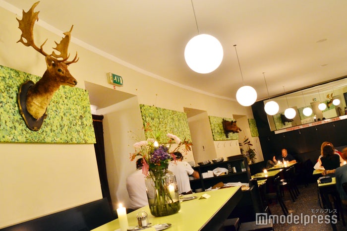 グラシスバイスル（C）ビューティーガール