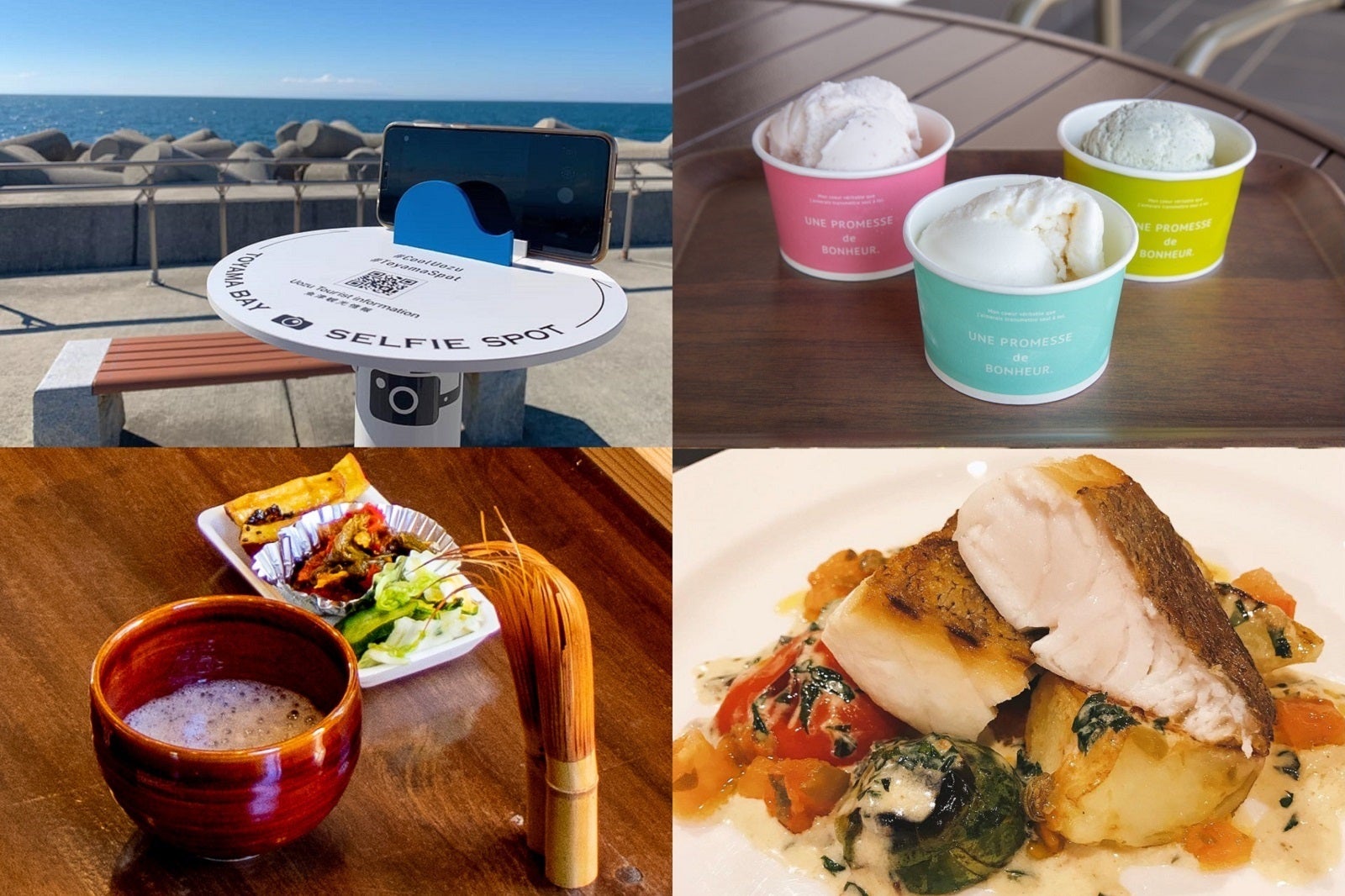 富山は美食の宝庫！自然が育んだ美食スポットを巡る旅へ／提供画像