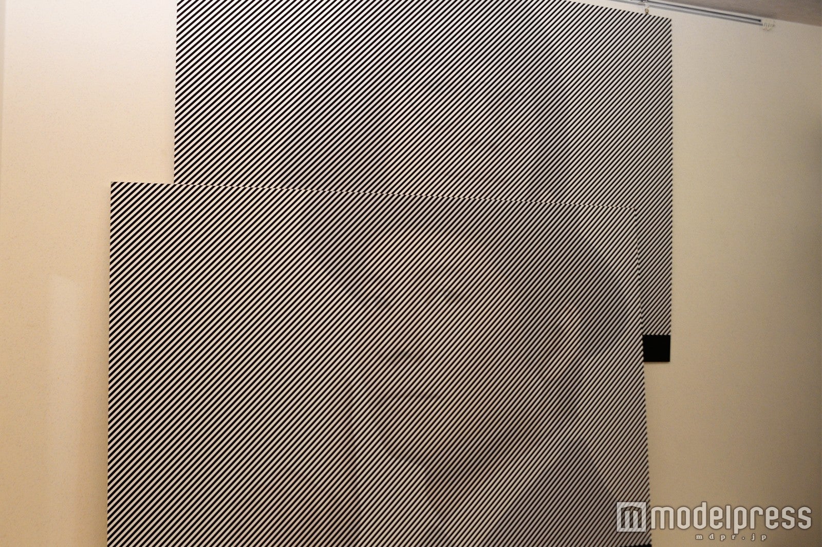 目の錯覚で見えたり見えなかったりする“錯覚ポスター”（C）モデルプレス