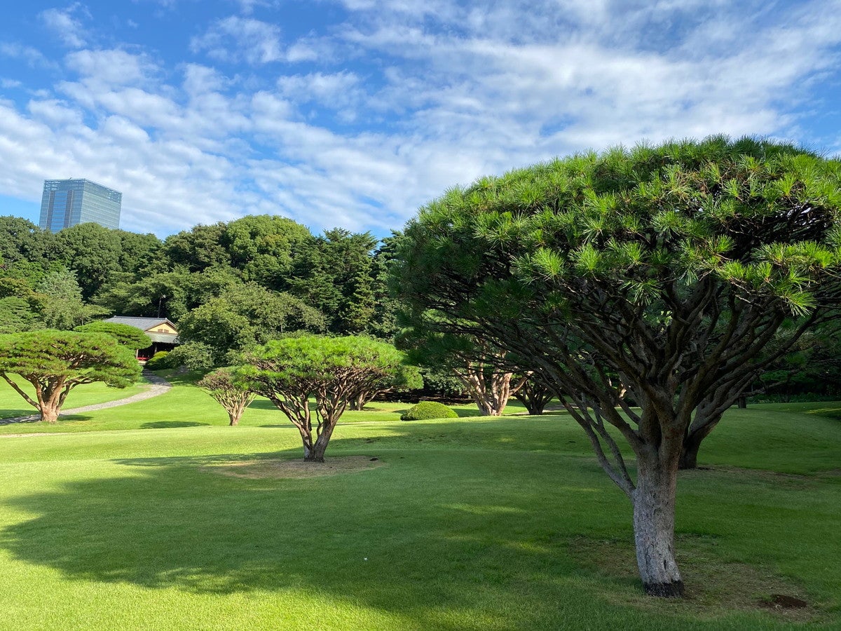 新宿御苑／画像提供：環境省新宿御苑管理事務所