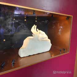 フランス館(C)モデルプレス