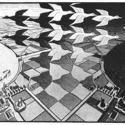 エッシャー作『昼と夜』。オランダの典型的な干拓地をモチーフに、ガンの群れが昼から夜へと飛びかう姿がなんとも不思議！　『Day and Night』 1938, woodcut, M.C.Escher （1898-1972）(c)The M.C. Escher Company BV, Baarn