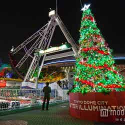 ファンタジーツリー(イメージ)/画像提供:東京ドーム