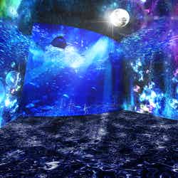 ナイトワンダーアクアリウム2016～月光に漂う水族館～／画像提供：新江ノ島水族館