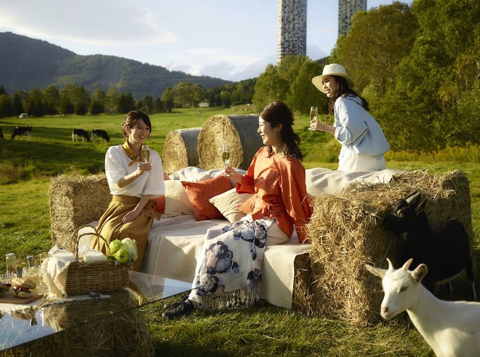 【トマム】牧場ラウンジ　イメージ／画像提供：星野リゾート