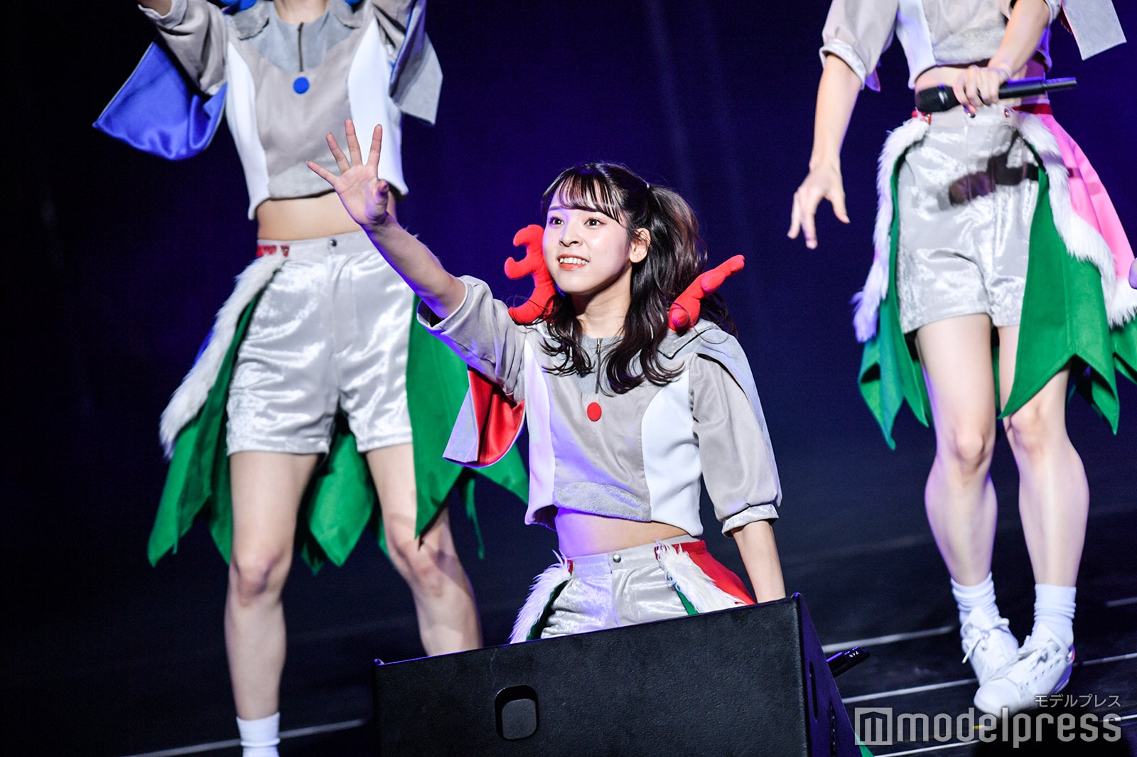 豆柴の大群（C）モデルプレス