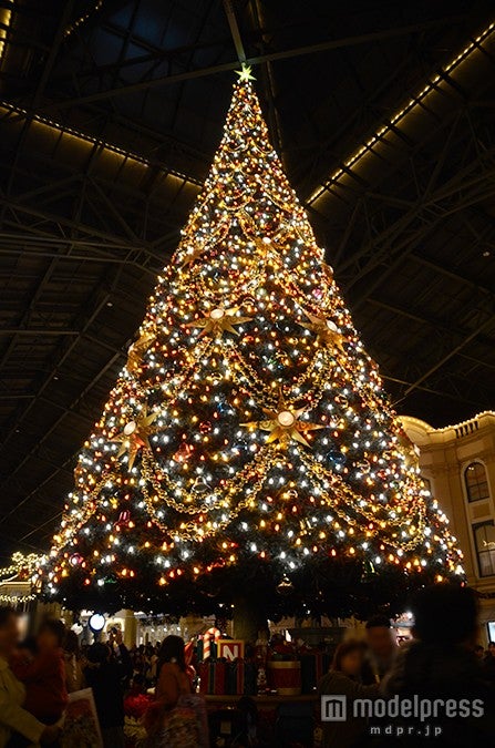 ライトアップされたクリスマスツリー