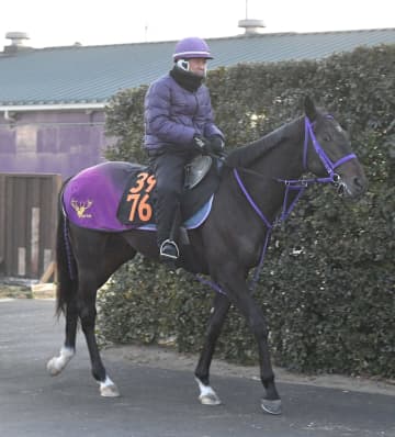 【新馬戦】アナザーフェイス キングを背に偉大な兄・マスカレードボールを追う 鹿戸師「だいぶ良くなっている。実戦向きだと思う」