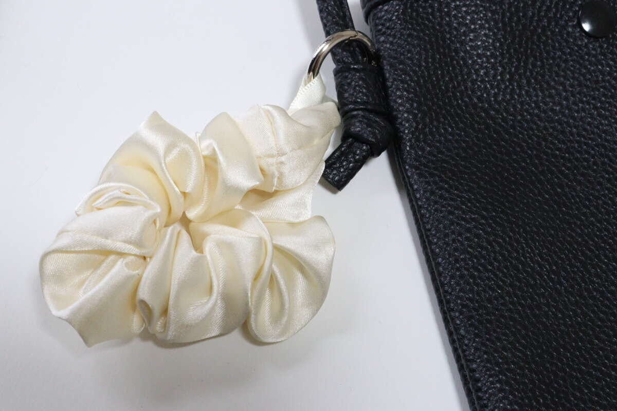 ダイソー シュシュチャーム カラビナ ダイソー シュシュチャーム カラビナ