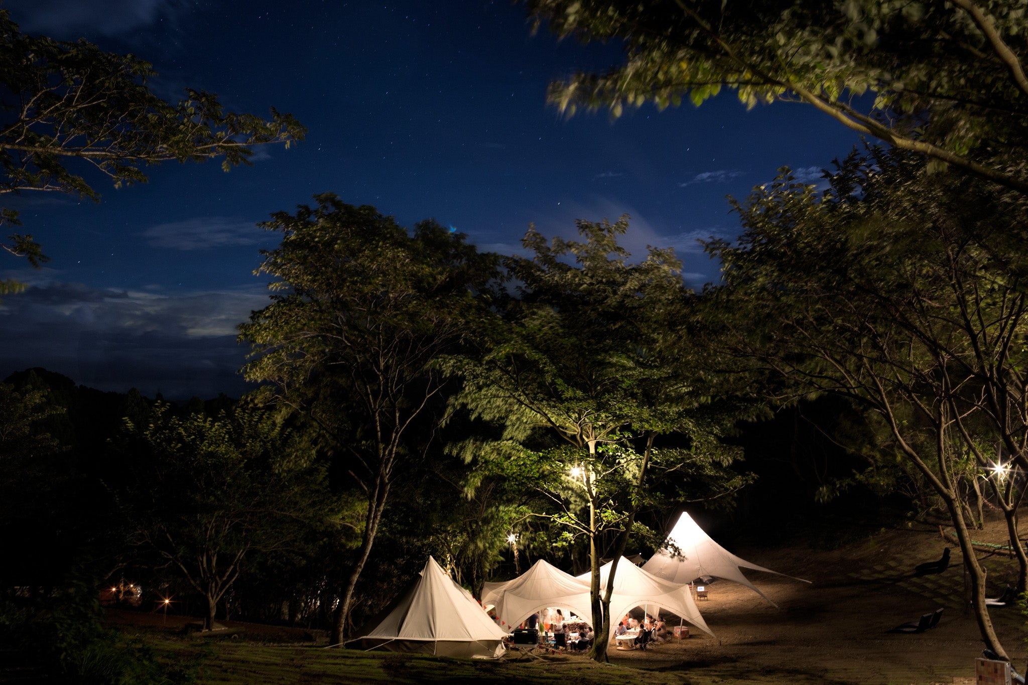 The Caravan（ザ・キャラバン）／画像提供：Wonder Wanderers