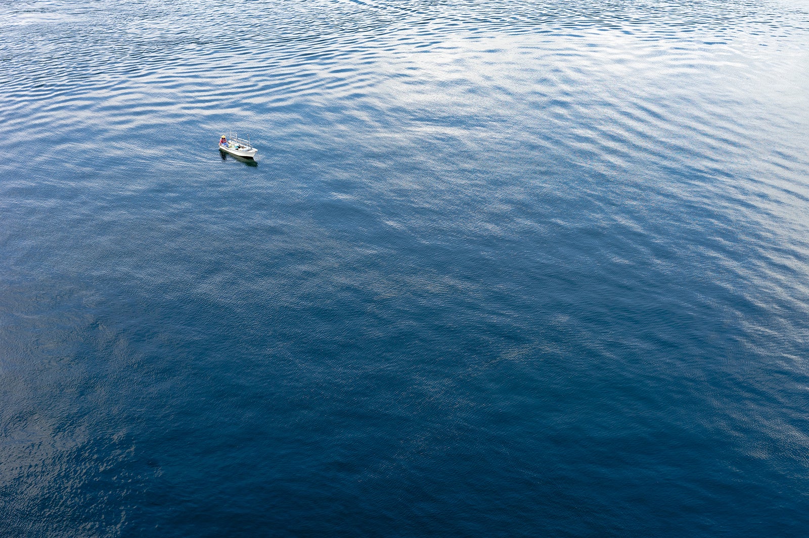 画像提供：Azuma Japan