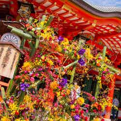 秋の花で彩られた生田神社（C）モデルプレス