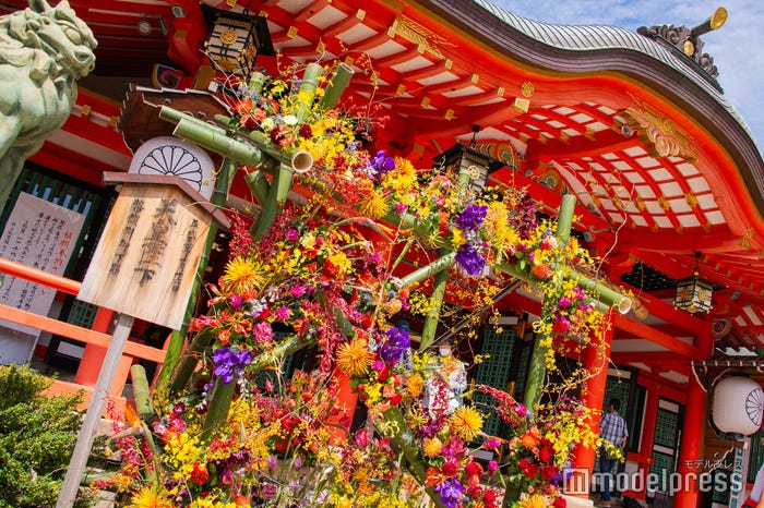 秋の花で彩られた生田神社(C)モデルプレス