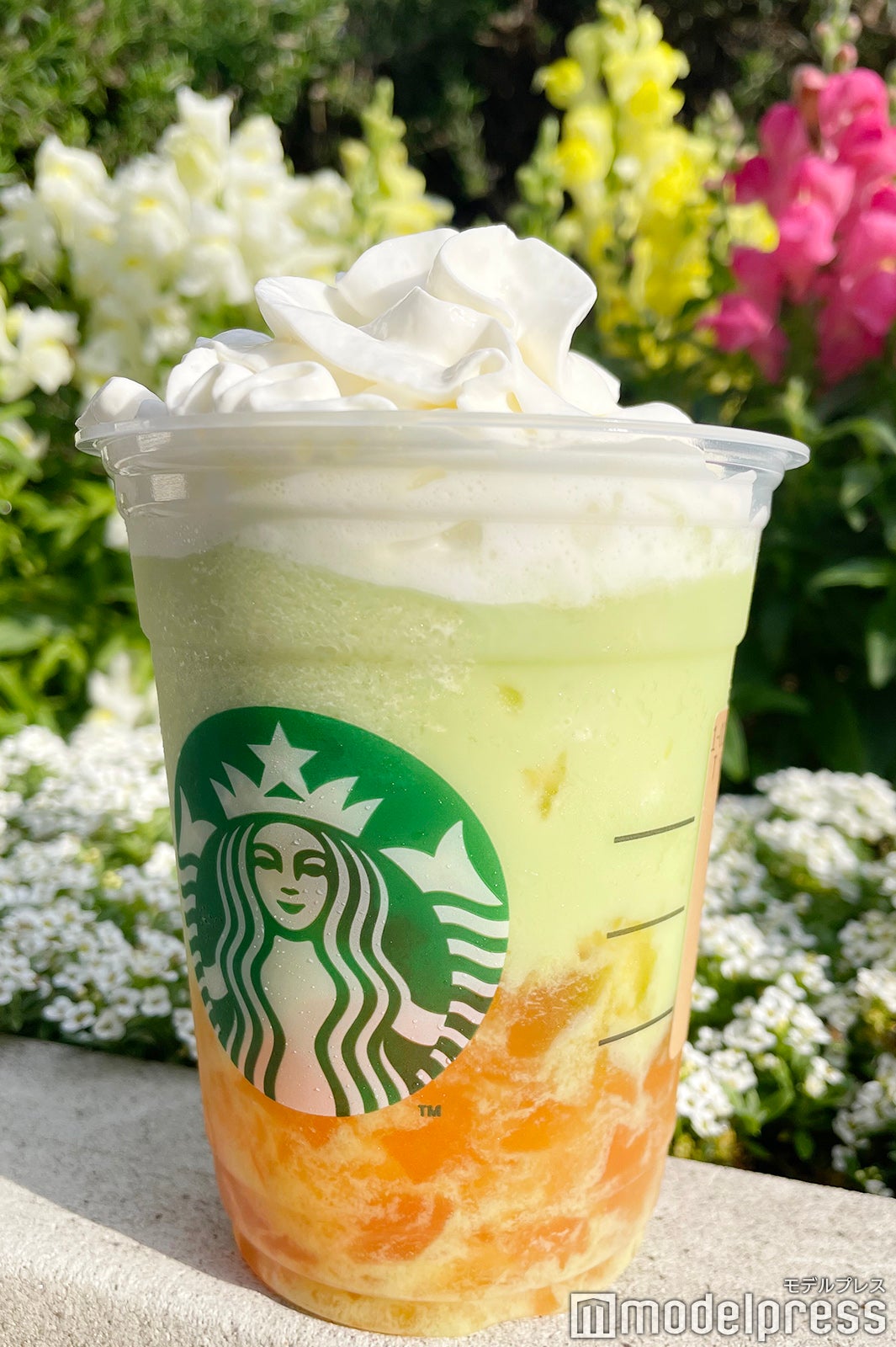 GOHOBI メロン フラペチーノ（C）モデルプレス