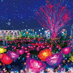 あしかがフラワーパーク「光の花の庭」/画像提供:北関東三県広域観光推進協議会